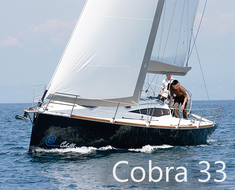 cobra-c33-470380